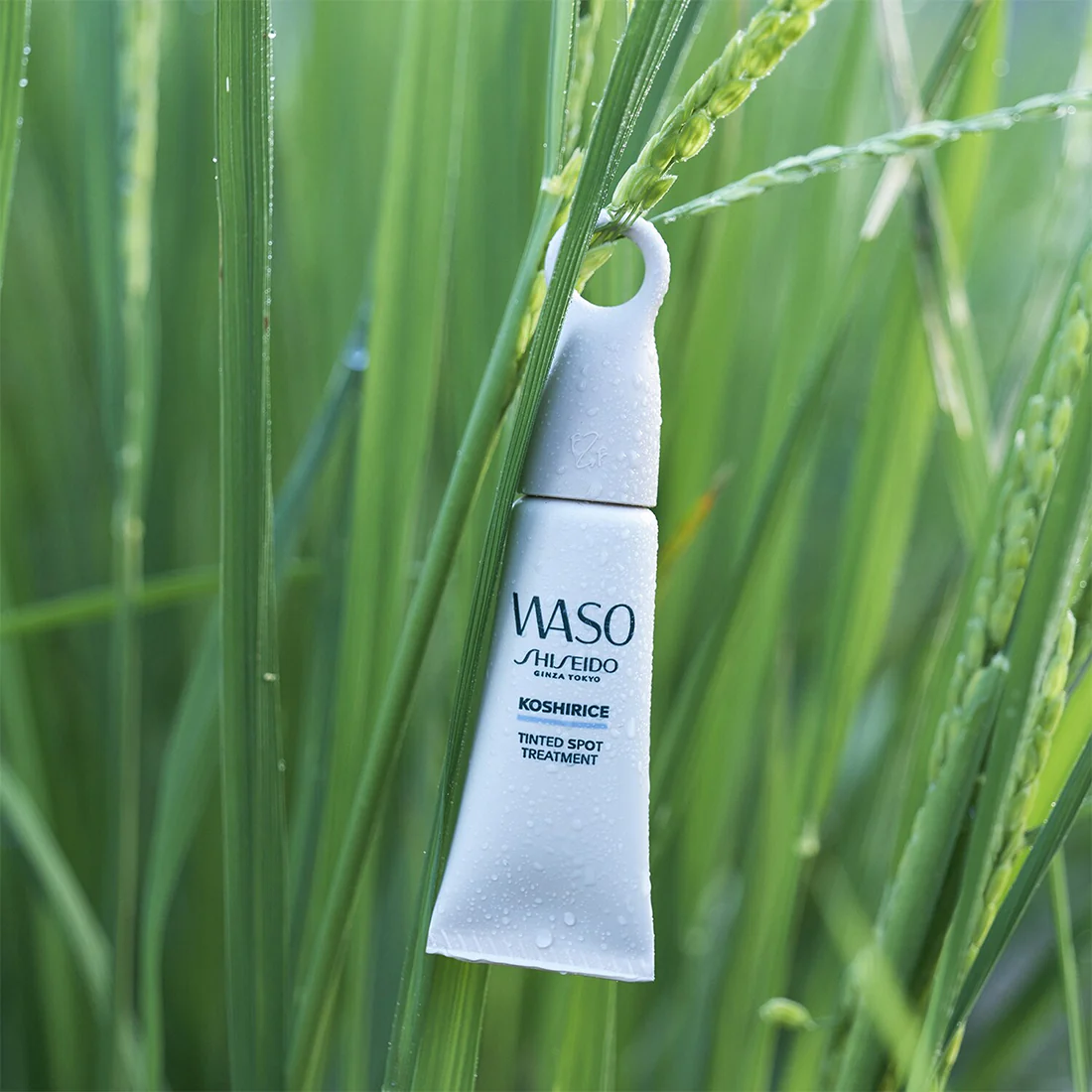 Immagine prodotto 13